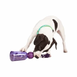 PetSafe Tug-a-Jug 7 PetSafe Tug-a-Jug -Tierbedarfsgeschäft petsafe tug a jug 216335 0500 none
