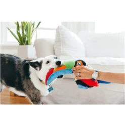 P.L.A.Y. Fetching Flock - Toucan -Tierbedarfsgeschäft play fetching flock toucan 181843 0500 none