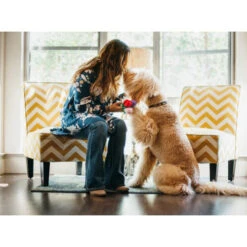 P.L.A.Y. Pet Puppy Love - Rover's Roses Pluche 5 P.L.A.Y. Pet Puppy Love - Rover's Roses Pluche -Tierbedarfsgeschäft play puppy love rovers roses pluche 144011 0500 none