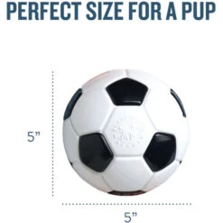 Planet Dog Orbee-Tuff Soccer Ball 10 Planet Dog Orbee-Tuff Soccer Ball -Tierbedarfsgeschäft prod 14590 203612 0500 none