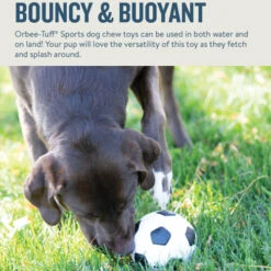 Planet Dog Orbee-Tuff Soccer Ball 13 Planet Dog Orbee-Tuff Soccer Ball -Tierbedarfsgeschäft prod 14590 203615 0500 none