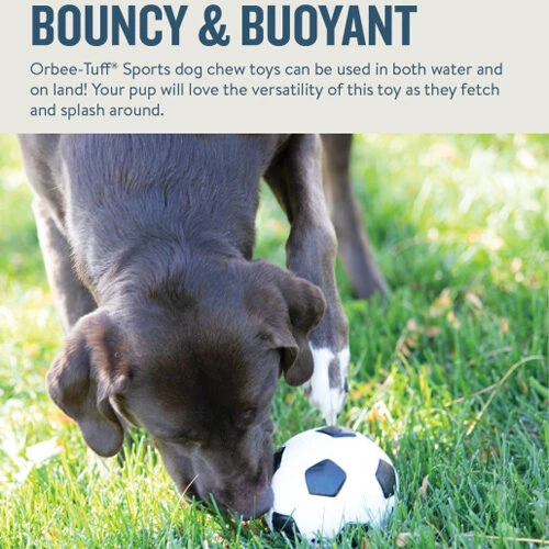 Planet Dog Orbee-Tuff Soccer Ball 8 Planet Dog Orbee-Tuff Soccer Ball – Bild 6