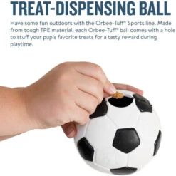 Planet Dog Orbee-Tuff Soccer Ball 11 Planet Dog Orbee-Tuff Soccer Ball -Tierbedarfsgeschäft prod 14590 203618 0500 none