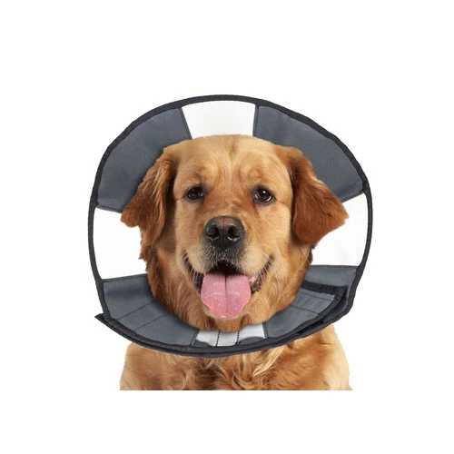 ZenPet Zen Collar 6 ZenPet Zen Collar – Bild 4