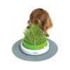 Catit Senses 2.0 Grastopf 2 Catit Senses 2.0 Grastopf -Tierbedarfsgeschäft product catit senses 20 grass planter none 4 1498803915 87781