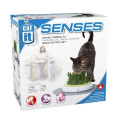 Catit Senses Katzengrassamenset -Tierbedarfsgeschäft product catit senses grass garden none 4 1465980431 69888