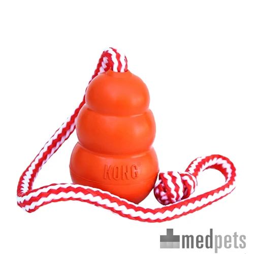 KONG Aqua Mit Wurftau