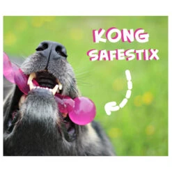 KONG Safestix -Tierbedarfsgeschäft product kong safestix none 4 1458633926 66969