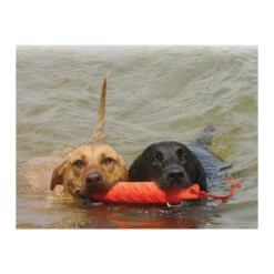 KONG Training Dummy 13 KONG Training Dummy -Tierbedarfsgeschäft product kong training dummy none 4 1469627104 71971