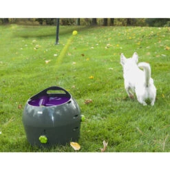 PetSafe Automatischer Ballwerfer -Tierbedarfsgeschäft product petsafe ball launcher none 4 1472637635 77137