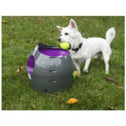 PetSafe Automatischer Ballwerfer -Tierbedarfsgeschäft product petsafe ball launcher none 4 1472637636 77140