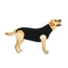 Suitical Recovery Suit Hund - Schwarz -Tierbedarfsgeschäft product recovery suit hond zwart none 4 1470648102 74161