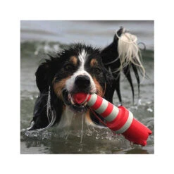 Rogz Leuchtturm -Tierbedarfsgeschäft product rogz lighthouse none 4 1485526267 82936