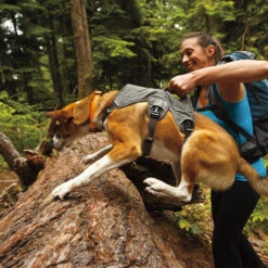 Ruffwear Webmaster Harness -Tierbedarfsgeschäft product ruffwear webmaster harness none 4 1471947180 76768