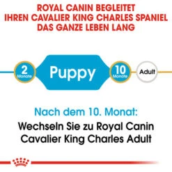 Royal Canin Cavalier King Charles Puppy - Hundefutter -Tierbedarfsgeschäft royal canin cavalier king charles puppy hondenvoer 137905 0500 none
