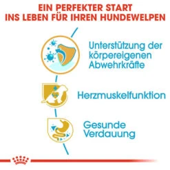 Royal Canin Cavalier King Charles Puppy - Hundefutter -Tierbedarfsgeschäft royal canin cavalier king charles puppy hondenvoer 137923 0500 none