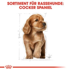 Royal Canin Cocker Puppy - Hundefutter -Tierbedarfsgeschäft royal canin cocker puppy hondenvoer 138226 0500 none