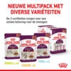 Royal Canin FHN Sensory Multipack In Sauce 2 Royal Canin FHN Sensory Multipack In Sauce -Tierbedarfsgeschäft royal canin fhn sensory multipack in gravy 182635 0500 none