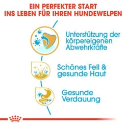 Royal Canin Golden Retriever Puppy - Hundefutter -Tierbedarfsgeschäft royal canin golden retriever puppy hondenvoer 138949 0500 none