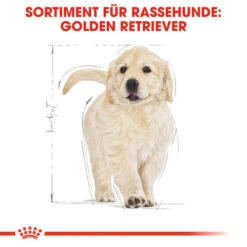 Royal Canin Golden Retriever Puppy - Hundefutter -Tierbedarfsgeschäft royal canin golden retriever puppy hondenvoer 138958 0500 none