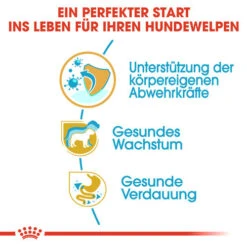 Royal Canin Jack Russell Terrier Puppy - Hundefutter -Tierbedarfsgeschäft royal canin jack russell terrier puppy hondenvoer 139309 0500 none