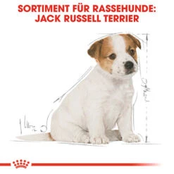 Royal Canin Jack Russell Terrier Puppy - Hundefutter -Tierbedarfsgeschäft royal canin jack russell terrier puppy hondenvoer 139318 0500 none