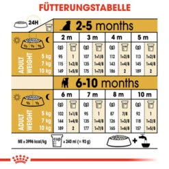 Royal Canin Jack Russell Terrier Puppy - Hundefutter -Tierbedarfsgeschäft royal canin jack russell terrier puppy hondenvoer 139327 0500 none