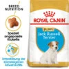 Royal Canin Jack Russell Terrier Puppy - Hundefutter -Tierbedarfsgeschäft royal canin jack russell terrier puppy hondenvoer 140597 0500 none