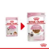 Royal Canin Kitten In Gravy - Katzenfutter -Tierbedarfsgeschäft royal canin kitten in gravy kattenvoer 207080 0500 none