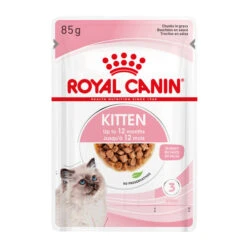 Royal Canin Kitten In Gravy - Katzenfutter -Tierbedarfsgeschäft royal canin kitten in gravy kattenvoer 207113 0500 none