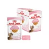 Royal Canin Kitten Sterilised Gelee - Beutel 1 Royal Canin Kitten Sterilised Gelee - Beutel -Tierbedarfsgeschäft royal canin kitten sterilised in jelly maaltijdzakje 207230 0500 none