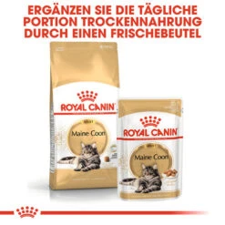 Royal Canin Maine Coon Adult Wet - Katzenfutter 13 Royal Canin Maine Coon Adult Wet - Katzenfutter -Tierbedarfsgeschäft royal canin maine coon adult wet kattenvoer 126035 0500 none
