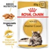 Royal Canin Maine Coon Adult Wet - Katzenfutter -Tierbedarfsgeschäft royal canin maine coon adult wet kattenvoer 126059 0500 none