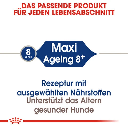Royal Canin Maxi Ageing 8+ - Hundefutter 6 Royal Canin Maxi Ageing 8+ - Hundefutter – Bild 4