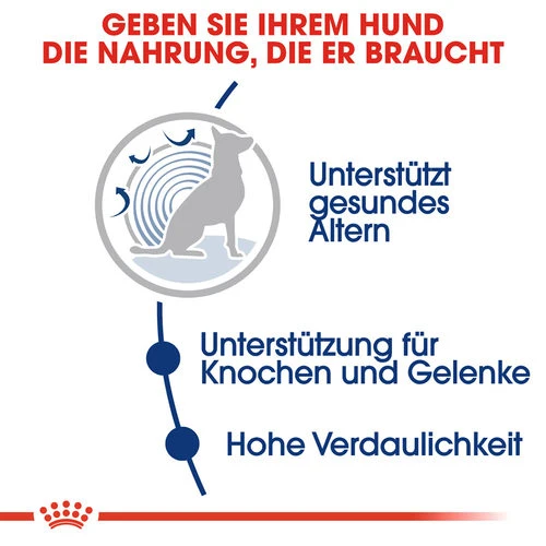 Royal Canin Maxi Ageing 8+ - Hundefutter 5 Royal Canin Maxi Ageing 8+ - Hundefutter – Bild 3