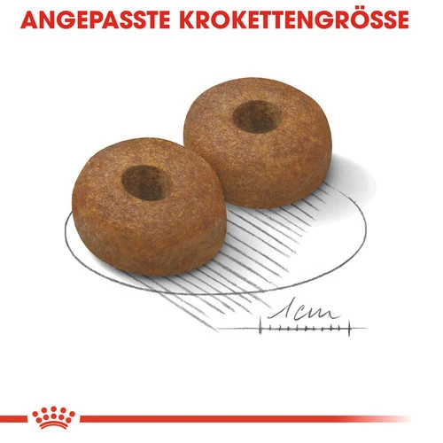 Royal Canin Maxi Ageing 8+ - Hundefutter 7 Royal Canin Maxi Ageing 8+ - Hundefutter – Bild 5