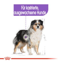 Royal Canin Medium Sterilised - Hundefutter -Tierbedarfsgeschäft royal canin medium sterilised hondenvoer 132911 0500 none