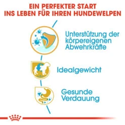 Royal Canin Mini Schnauzer Puppy - Hundefutter -Tierbedarfsgeschäft royal canin mini schnauzer puppy hondenvoer 140173 0500 none