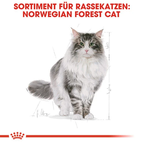 Royal Canin Norwegian Forest Cat Adult - Katzenfutter 6 Royal Canin Norwegian Forest Cat Adult - Katzenfutter – Bild 4