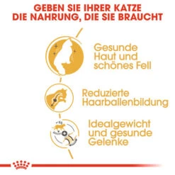 Royal Canin Norwegian Forest Cat Adult - Katzenfutter 10 Royal Canin Norwegian Forest Cat Adult - Katzenfutter -Tierbedarfsgeschäft royal canin norwegian forest cat adult kattenvoer 124991 0500 none