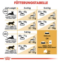 Royal Canin Norwegian Forest Cat Adult - Katzenfutter 14 Royal Canin Norwegian Forest Cat Adult - Katzenfutter -Tierbedarfsgeschäft royal canin norwegian forest cat adult kattenvoer 125006 0500 none