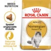 Royal Canin Norwegian Forest Cat Adult - Katzenfutter -Tierbedarfsgeschäft royal canin norwegian forest cat adult kattenvoer 125024 0500 none