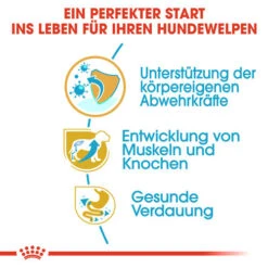 Royal Canin Rottweiler Puppy - Hundefutter 11 Royal Canin Rottweiler Puppy - Hundefutter -Tierbedarfsgeschäft royal canin rottweiler puppy hondenvoer 140020 0500 none