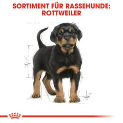 Royal Canin Rottweiler Puppy - Hundefutter 13 Royal Canin Rottweiler Puppy - Hundefutter -Tierbedarfsgeschäft royal canin rottweiler puppy hondenvoer 140029 0500 none