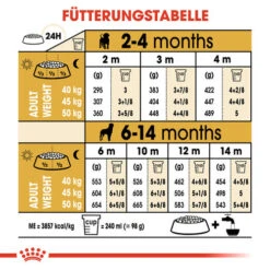Royal Canin Rottweiler Puppy - Hundefutter 16 Royal Canin Rottweiler Puppy - Hundefutter -Tierbedarfsgeschäft royal canin rottweiler puppy hondenvoer 140038 0500 none