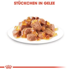 Royal Canin Sterilised In Jelly - Katzenfutter 14 Royal Canin Sterilised In Jelly - Katzenfutter -Tierbedarfsgeschäft royal canin sterilised in jelly kattenvoer 128144 0500 none