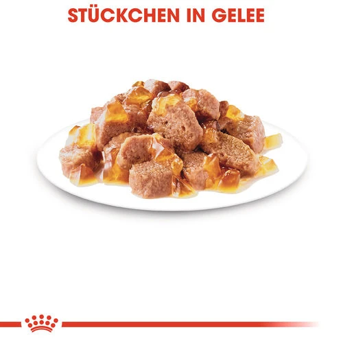 Royal Canin Sterilised In Jelly - Katzenfutter 7 Royal Canin Sterilised In Jelly - Katzenfutter – Bild 5