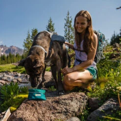 Ruffwear Flat Out Dog Collar - Alpenglow Burst -Tierbedarfsgeschäft ruffwear flat out dog collar alpenglow burst 204812 0500 none