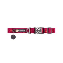 Ruffwear Flat Out Dog Collar - Alpenglow Burst -Tierbedarfsgeschäft ruffwear flat out dog collar alpenglow burst 204824 0500 none