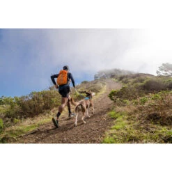 Ruffwear Hi & Light Harness -Tierbedarfsgeschäft ruffwear hi light harness 196016 0500 none